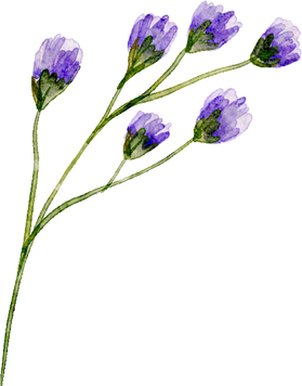 Watercolor Flower Branch Illustration